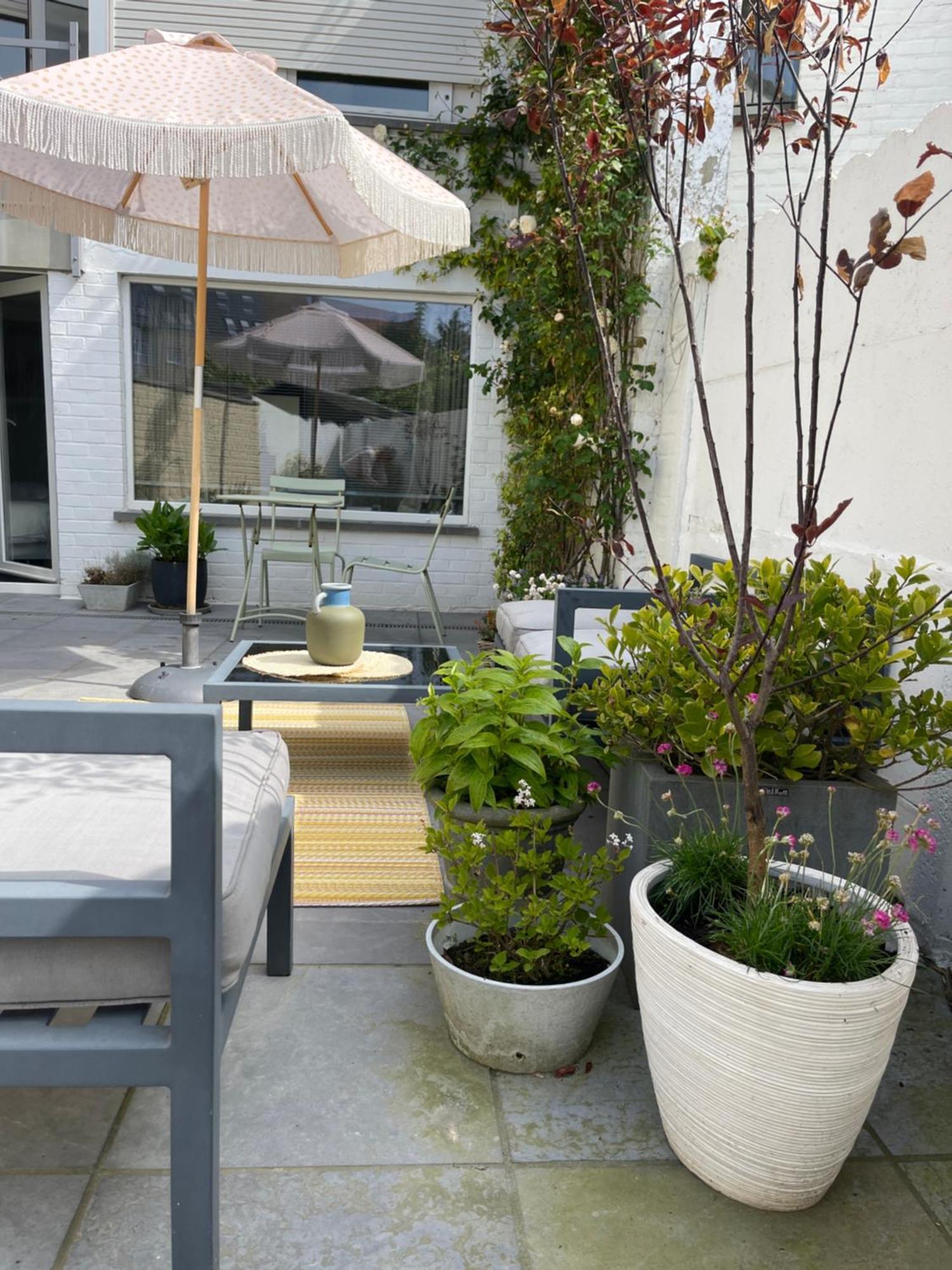 אוסטנדה Guesthouse Poppies , Free Parking מראה חיצוני תמונה
